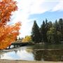 Pioneer Park