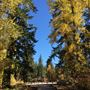 Fish Lake