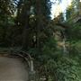 Silver Falls State Park