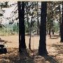 Sisters Cow Camp