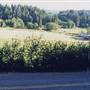 Dutch Canyon Road - Scappoose