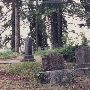 Lafayette Cemetery