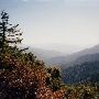 Shasta Costa Vista Point