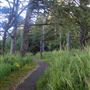 Arch Rock Picnic Area