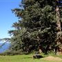 Arch Rock Picnic Area