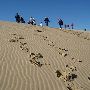 Dellenback Dunes Trailhead