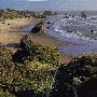 Bandon Coast