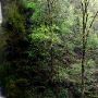Columbia River Gorge National Scenic Area