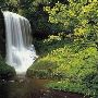 Silver Falls State Park