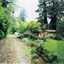9th & 10th and B & C Alley - Lake Oswego