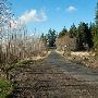 Aldrich Point Road