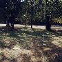 Milo McIver State Park