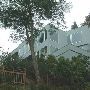 House #10004912