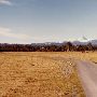 Central Oregon Mountain Views