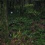 Oxbow Park