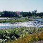 Clackamas River Gravel Islands
