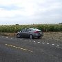 Corn fields - Mountaindale Rd.
