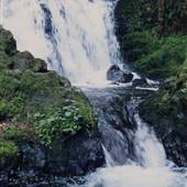 Shepperd's Dell Falls