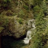 Upper Elkhorn Creek Waterfall