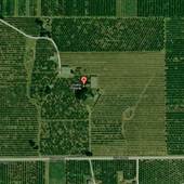 Avalon Orchards Inc.