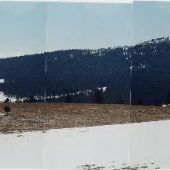 R.Y. Timber Property