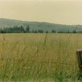 St. Helens Area Forested Hills
