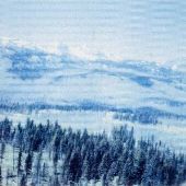 Wallowa County Forest Fire Areas