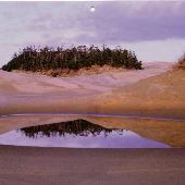 Oregon Dunes National Recreation Area