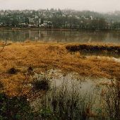 Oaks Park Riverfront