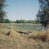 Sauvie Island  - Wetlands