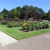 Sara Hite Memorial Rose Garden