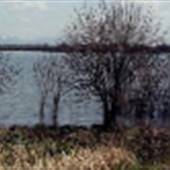 Sauvie Island - Sturgeon Lake