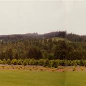 Meir Road - Cornelius Area