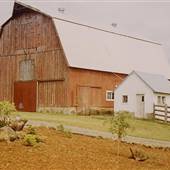Barns - Various