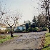 McKnight's Blueberry Farm