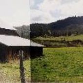 Pioneer Orchard Barn