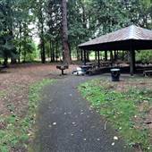 Mary S. Young State Park