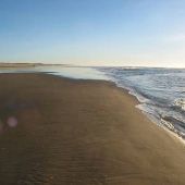Winchester Bay Sand Dunes