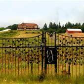 Youngberg Hill Farm B&B