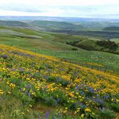 Columbia Hills Historical State Park (WA)
