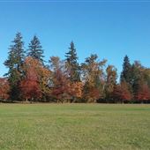 Molalla River State Park