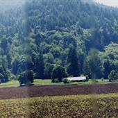 Gale's Creek Road - Forest Grove