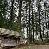 Hopkins Demonstration Forest