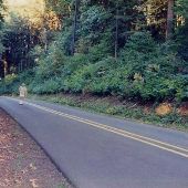 Old Kruger Road - Sherwood