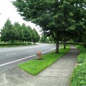 NE Alderwood Road