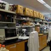 OHSU - lab facility