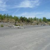 Sauvie Island - Reeder's Beach