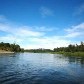 Willamette River - Near Mission State Park
