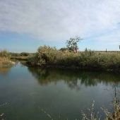 Umatilla National Wildlife Refuge