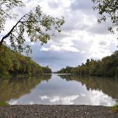 Sauvie Island - Little McNary Lake